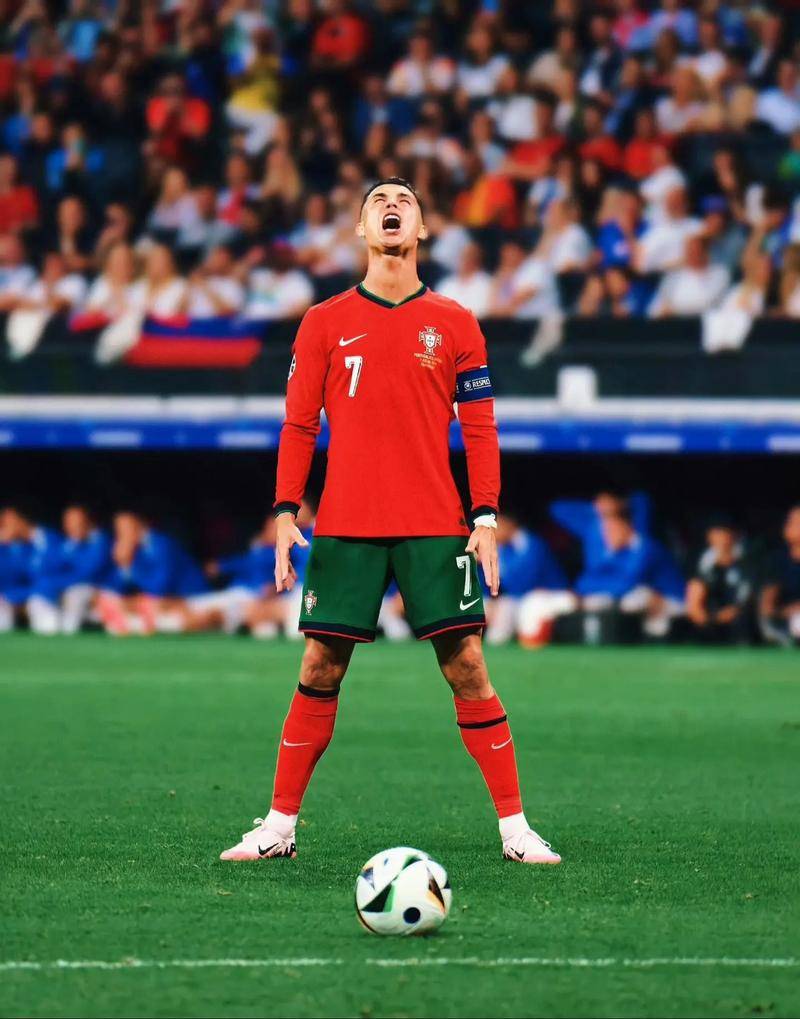 索引擎排名 索引擎排名