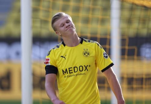 己的梦想 己的梦想